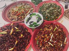 -东吴霸王兔(松青路店)