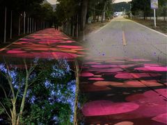 -西涌国际滨海旅游区