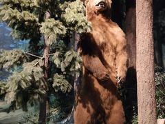 -陕西自然博物馆