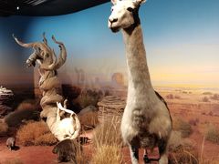 -陕西自然博物馆