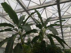 -天源吉布世温泉水乐园