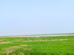 -鄱阳湖国家湿地公园