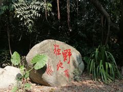 -广州长隆野生动物世界
