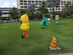 -渔家火锅·海鲜自助餐·演艺(亚龙湾天域酒店)