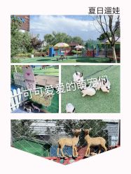 -萌宠亲子动物乐园(槐房万达店)