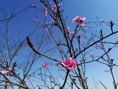 -中海·庐山西海君澜度假酒店·味屿全日制餐厅
