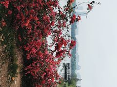 -海珠湖公园