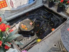 -燕喜堂·中华老字号(大明湖店)