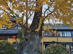 -圆通寺