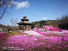 -棒棰岛宾馆景区