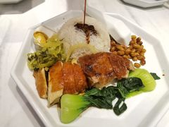 -金戈戈香港豉油鸡(南山海岸城店)
