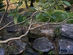 -腾冲和顺柏联酒店