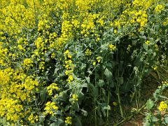 -宜昌富力皇冠假日酒店·咖啡1号西餐厅