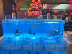 -怡咖啡·自助餐·西安香格里拉