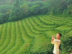 -敬亭山风景名胜区