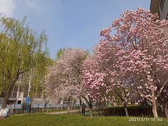 -长安大学(北校区)