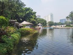 -荔湾湖公园