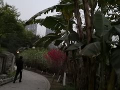 -重庆彩云湖湿地公园
