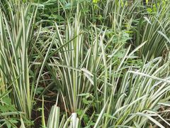 -中国人民解放军空军第九八六医院(北区)