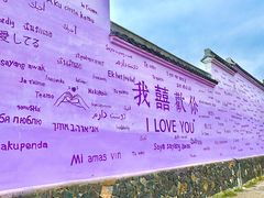 -杭州湾海上花田景区