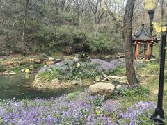 -句容茅山景区