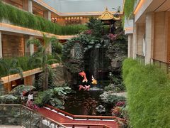-白天鹅宾馆-宏图府餐厅