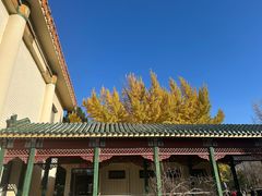 -中国农业博物馆