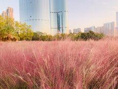 -艾溪湖湿地公园