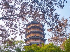 -北寺塔