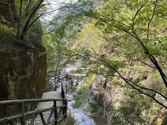 -十渡东湖港风景区