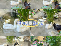 -赛格国际购物中心(小寨店)