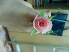android_upload_pic-香港城市花园酒店