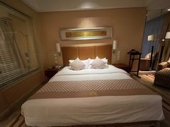 -电谷雅阁国际大酒店