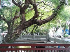 -文儒九号·闽菜馆(三坊七巷店)