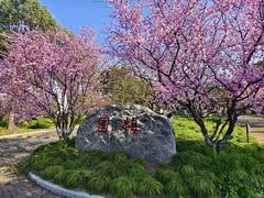 -上海海湾国家森林公园