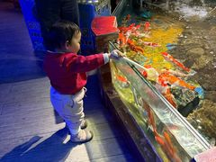 -太平洋海底世界