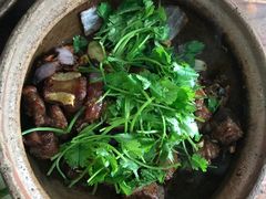 -欢乐海岸美食联盟