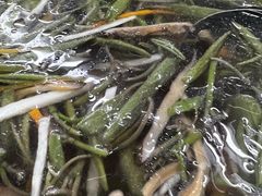 三丝莼菜羹-协和菜馆(凤凰街店)