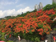 -缘生态云南菜·野生菌庭院餐厅(华侨城店)
