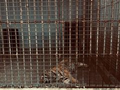 -如皋市龙游湖欢乐世界