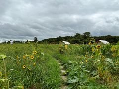 -云漫湖生态度假公园