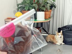 -LaFBagel手作烘焙工作室