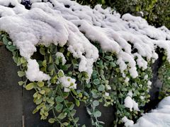 -呷哺呷哺(望京新世界店)