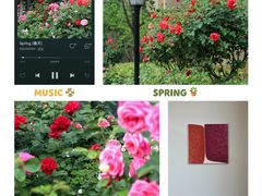 -济南喜来登酒店