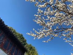 -苏州上方山国家森林公园