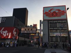 -蟹道乐(道顿堀本店)