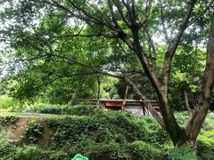 -重庆彩云湖湿地公园