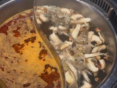 -季季红火锅(动壹店)