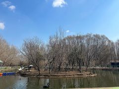 -长白岛森林公园