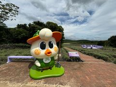 -济州森林小火车生态公园